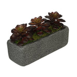 Artificial Echeveria Garden in Sandy-Texture Rectangle House of Silk Flowers®