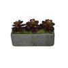 Artificial Echeveria Garden in Sandy-Texture Rectangle House of Silk Flowers®