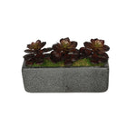 Artificial Echeveria Garden in Sandy-Texture Rectangle House of Silk Flowers®