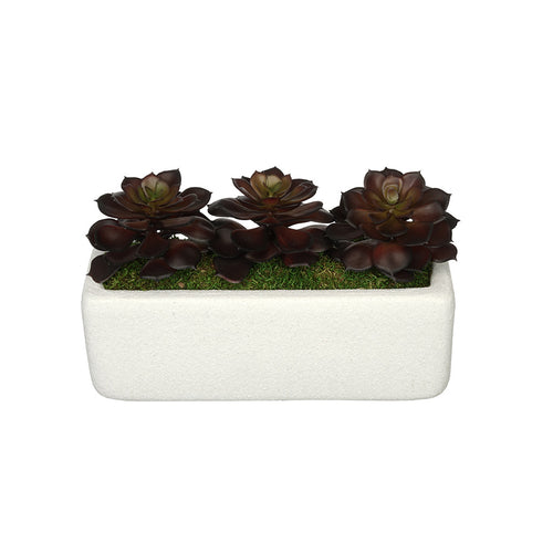 Artificial Echeveria Garden in Sandy-Texture Rectangle House of Silk Flowers®