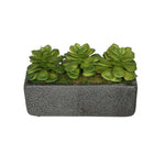 Artificial Echeveria Garden in Sandy-Texture Rectangle House of Silk Flowers®