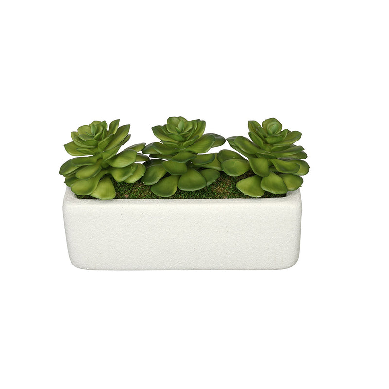 Artificial Echeveria Garden in Sandy-Texture Rectangle House of Silk Flowers®