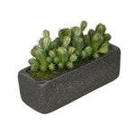 Artificial Thimble Cactus Garden in Sandy-Texture Rectangle