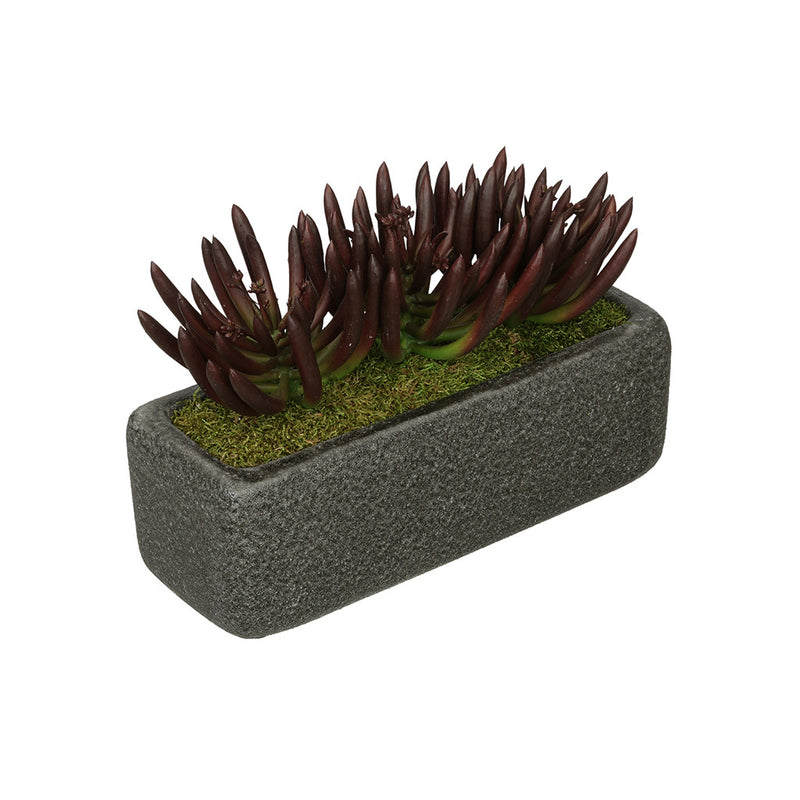 Artificial Senecio Garden in Sandy-Texture Rectangle