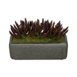 Artificial Senecio Garden in Sandy-Texture Rectangle