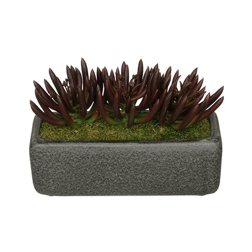 Artificial Senecio Garden in Sandy-Texture Rectangle