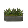 Artificial Senecio Garden in Sandy-Texture Rectangle