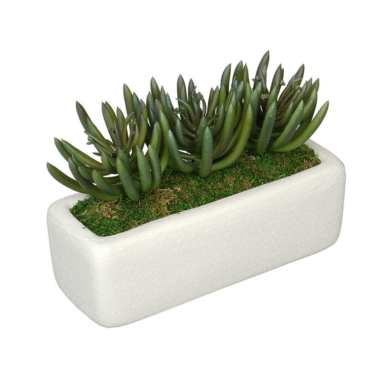 Artificial Senecio Garden in Sandy-Texture Rectangle