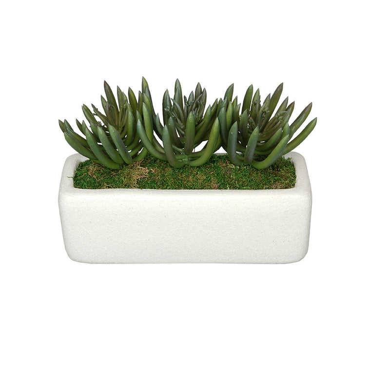 Artificial Senecio Garden in Sandy-Texture Rectangle