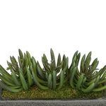 Artificial Senecio Garden in Sandy-Texture Rectangle