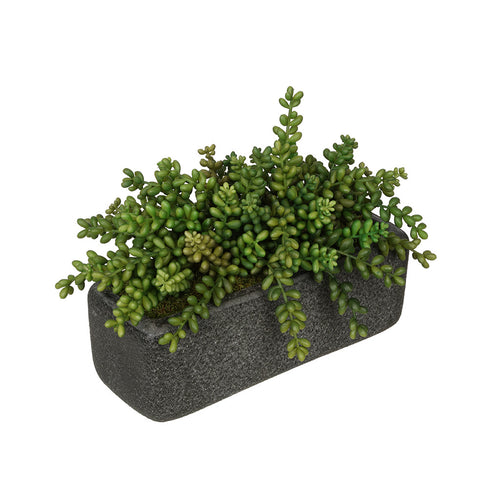 Artificial Sedum Garden in Sandy-Texture Rectangle