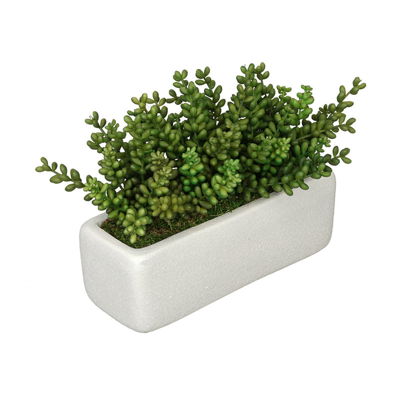 Artificial Sedum Garden in Sandy-Texture Rectangle