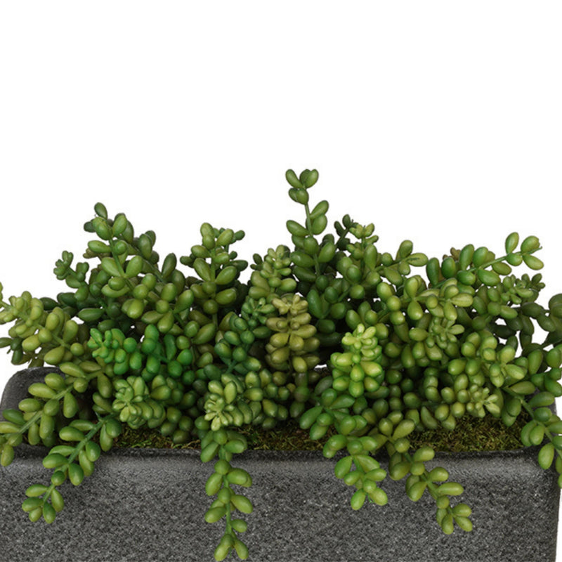 Artificial Sedum Garden in Sandy-Texture Rectangle