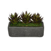 Aloe Garden in Sandy-Texture Rectangle House of Silk Flowers®