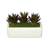 Aloe Garden in Sandy-Texture Rectangle House of Silk Flowers®