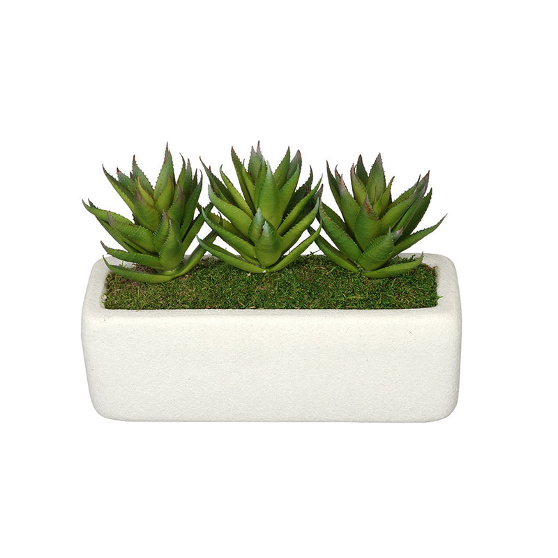 Aloe Garden in Sandy-Texture Rectangle House of Silk Flowers®