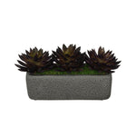 Artificial Pointed Echeveria Garden in Sandy-Texture Rectangle