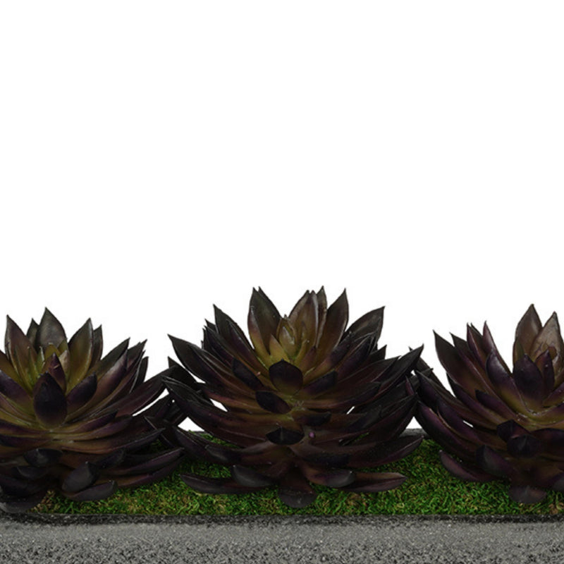 Artificial Pointed Echeveria Garden in Sandy-Texture Rectangle