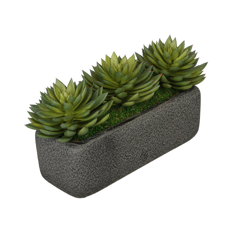 Artificial Pointed Echeveria Garden in Sandy-Texture Rectangle