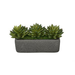 Artificial Pointed Echeveria Garden in Sandy-Texture Rectangle