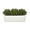 Artificial Pointed Echeveria Garden in Sandy-Texture Rectangle