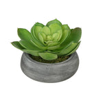 Artificial Echeveria in Washed Bowl Ceramic House of Silk Flowers®