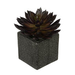 Artificial Pointed Echeveria in Sandy-Texture Cube Ceramic