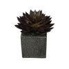 Artificial Pointed Echeveria in Sandy-Texture Cube Ceramic