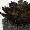 Artificial Pointed Echeveria in Sandy-Texture Cube Ceramic