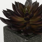 Artificial Pointed Echeveria in Sandy-Texture Cube Ceramic Trio