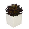 Artificial Pointed Echeveria in Sandy-Texture Cube Ceramic