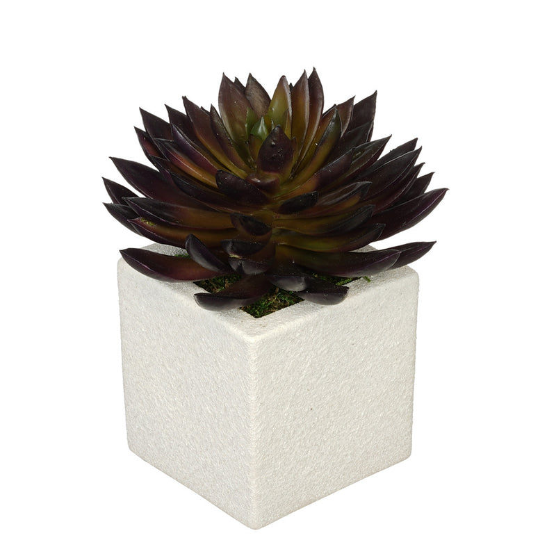 Artificial Pointed Echeveria in Sandy-Texture Cube Ceramic