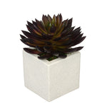 Artificial Pointed Echeveria in Sandy-Texture Cube Ceramic Trio