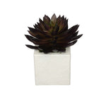 Artificial Pointed Echeveria in Sandy-Texture Cube Ceramic