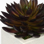 Artificial Pointed Echeveria in Sandy-Texture Cube Ceramic