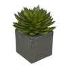 Artificial Pointed Echeveria in Sandy-Texture Cube Ceramic