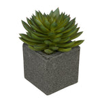 Artificial Pointed Echeveria in Sandy-Texture Cube Ceramic