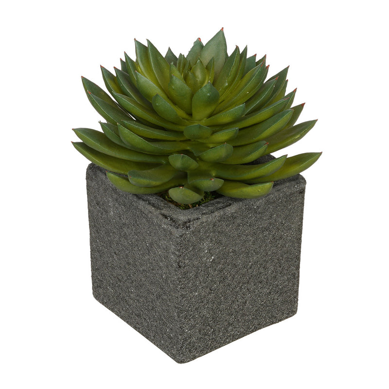 Artificial Pointed Echeveria in Sandy-Texture Cube Ceramic Trio