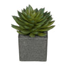 Artificial Pointed Echeveria in Sandy-Texture Cube Ceramic