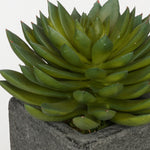 Artificial Pointed Echeveria in Sandy-Texture Cube Ceramic