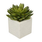 Artificial Pointed Echeveria in Sandy-Texture Cube Ceramic