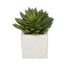 Artificial Pointed Echeveria in Sandy-Texture Cube Ceramic