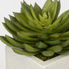 Artificial Pointed Echeveria in Sandy-Texture Cube Ceramic