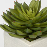 Artificial Pointed Echeveria in Sandy-Texture Cube Ceramic Trio