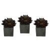 Artificial Pointed Echeveria in Sandy-Texture Cube Ceramic Trio