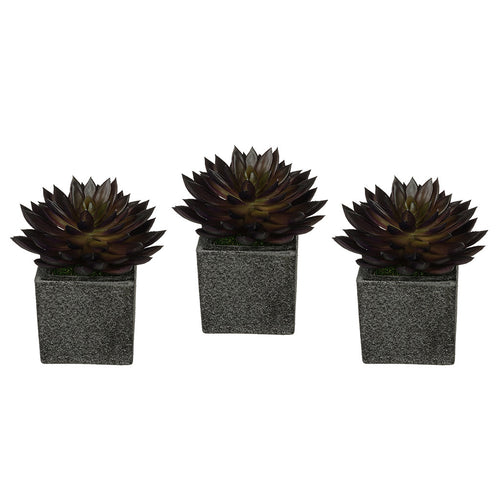 Artificial Pointed Echeveria in Sandy-Texture Cube Ceramic Trio