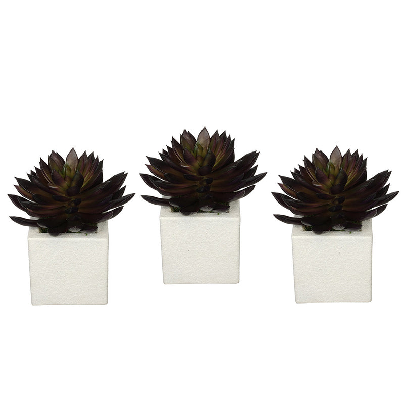 Artificial Pointed Echeveria in Sandy-Texture Cube Ceramic Trio