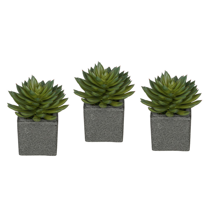 Artificial Pointed Echeveria in Sandy-Texture Cube Ceramic Trio