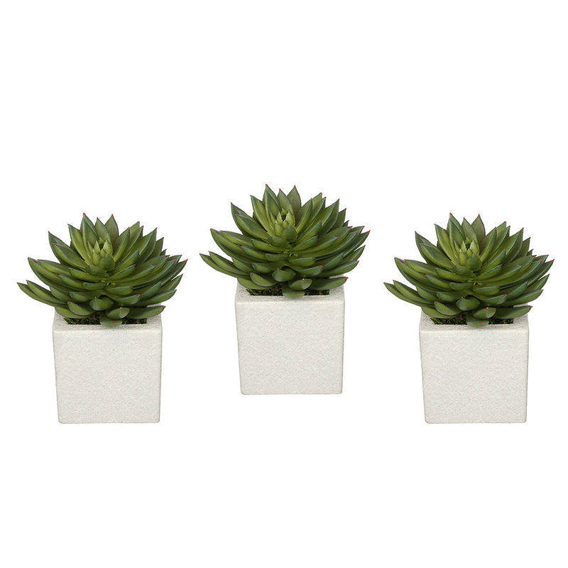 Artificial Pointed Echeveria in Sandy-Texture Cube Ceramic Trio