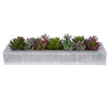 Artificial Pastel Succulent Garden in Farmhouse Zinc Vase House of Silk Flowers®